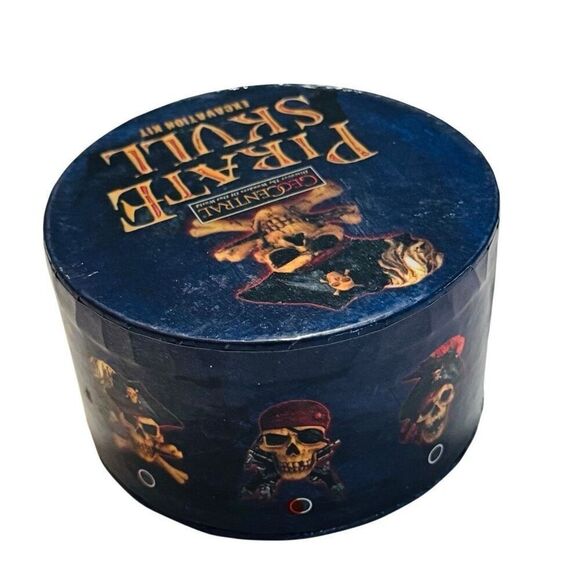 GeoCentral Pirate Skull Excavation / Dig Kit - New - DGPS - Picture 3 of 5